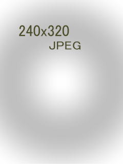 �������x�݂̂��m�点�B